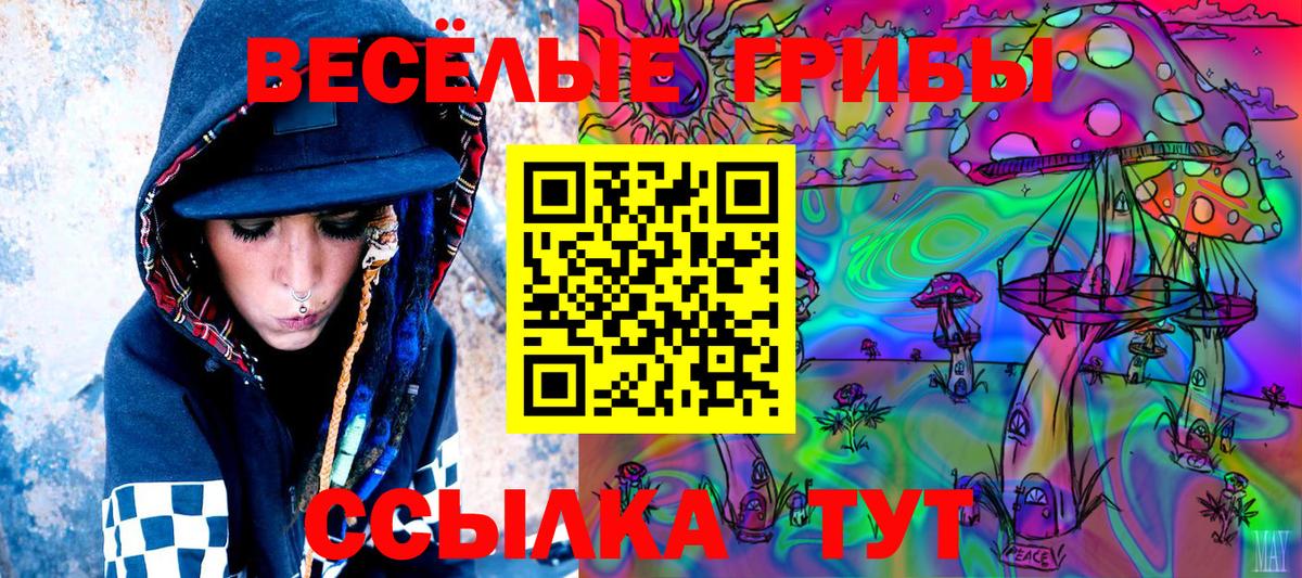 Лобня  Псилоцибиновые грибы MAGIC MUSHROOMS  Вход с VPN  Галлюциногенные грибы Psilocybe 